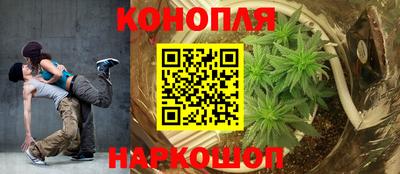 бошки Краснознаменск