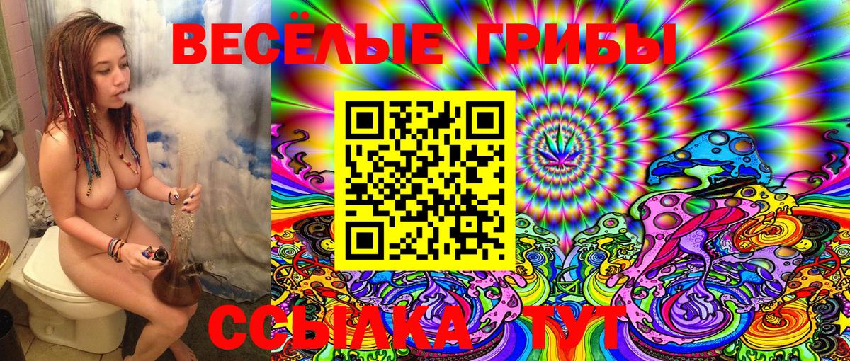 Псилоцибиновые грибы Cubensis Калуга