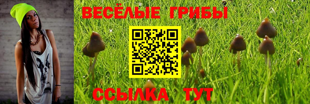 Калуга  Псилоцибиновые грибы Magic Shrooms  купить наркотик  Вход с VPN 