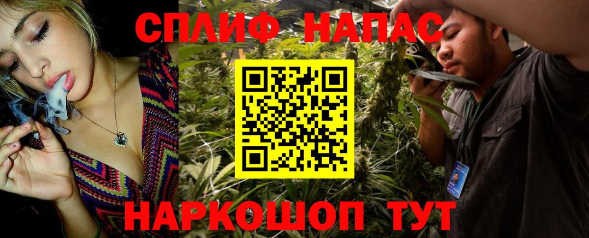 Канабис ГИДРОПОН Калуга